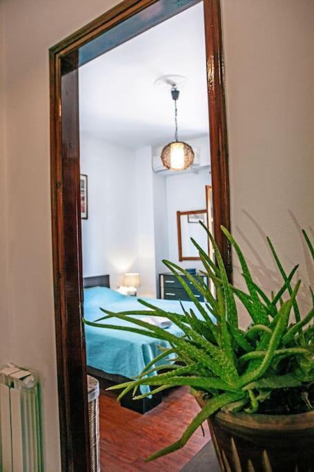 City Center, Sea View Apartment, Amelia! Anemomylos 外观 照片
